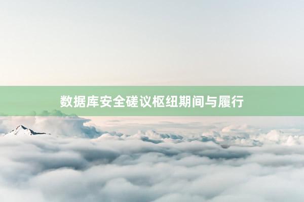 数据库安全磋议枢纽期间与履行
