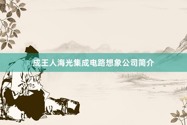 成王人海光集成电路想象公司简介